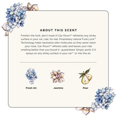 Fresh Air - Car~Pourri Car Air Freshener